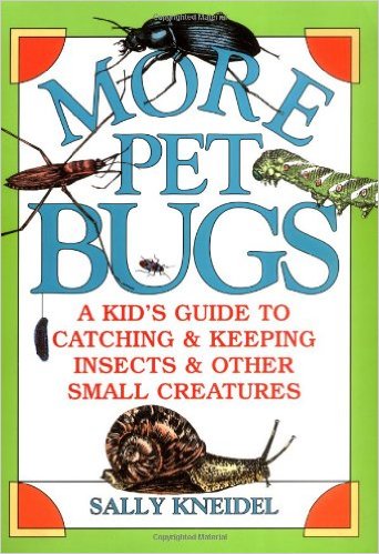 8 Image of More Pet Bugs_